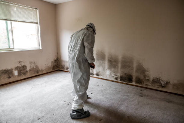Best Biohazard Mold Removal  in Caon City, CO